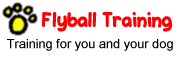Flyball Training