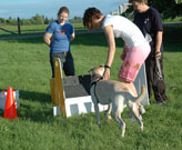 Flyball Classes Box Work 2