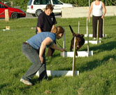 Flyball Classes 2