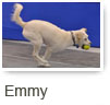 Emmy