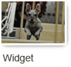 Widget