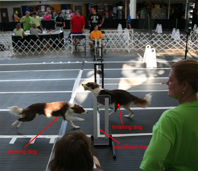 the flyball pass