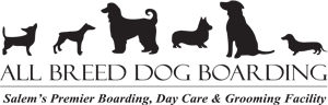 All Breed Dog Boarding
