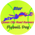 Flyball Dog