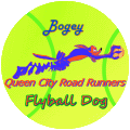 Flyball Dog