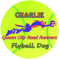 Flyball Dog