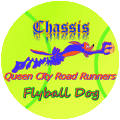 Flyball Dog