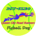 Flyball Dog