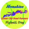 Flyball Dog