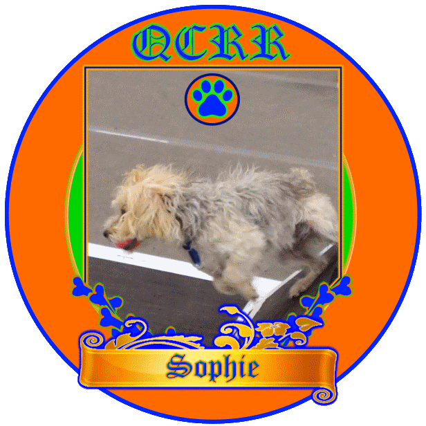 Sophie Box Turn