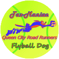 Flyball Dog