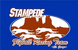 Stampede Logo