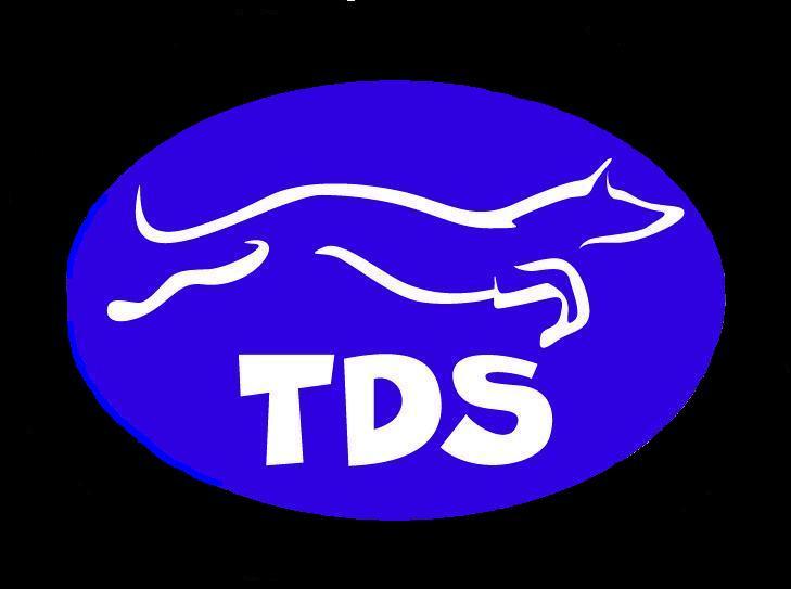 TDS Logo