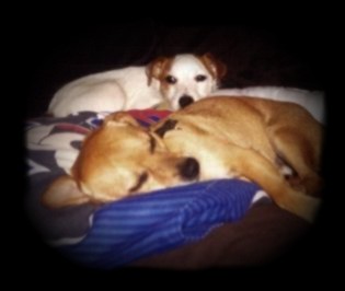 Sleepy Time