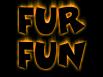 Fur Fun Flyball Movie