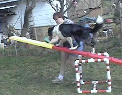 Teeter Totter