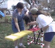 Sidney learning the teeter totter